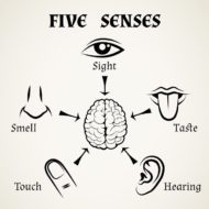 sense-sensative | Aspen Associates Group